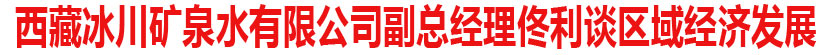 西藏冰川矿泉水有限公司副总经理佟利谈区域经济发展