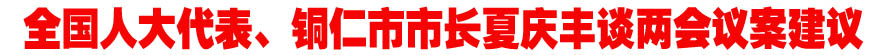 全国人大代表、铜仁市市长夏庆丰谈两会议案建议