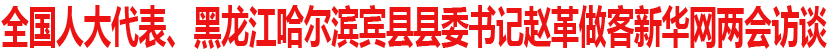 全国人大代表、黑龙江省哈尔滨市宾县县委书记赵革做客新华网两会特别访谈
