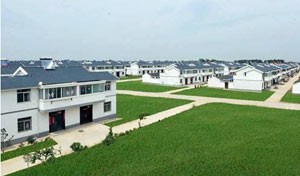 自2008年中央财政累计安排专项资金135亿元