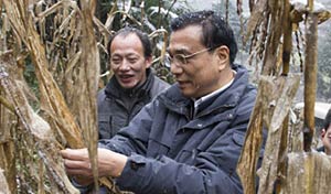 难忘安徽凤阳插队时的艰难岁月