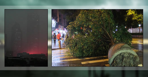 狂风暴雨袭广州白昼变黑夜 树木被连根拔起