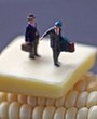 舌尖上小人国
