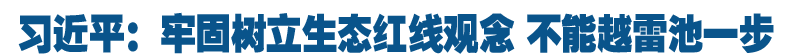 习近平：牢固树立生态红线观念 不能越雷池一步