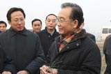 在河南调研抗旱工作