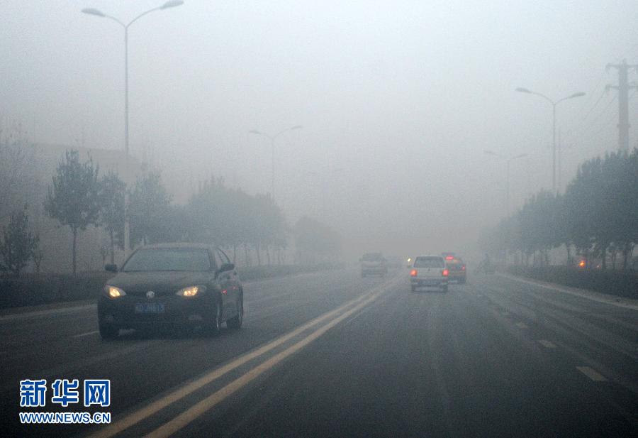 石家庄：停用30%公务车减少人为污染