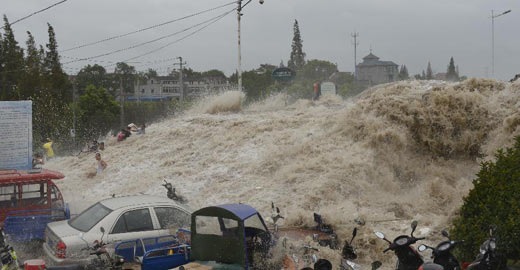 新华网_传播中国 报道世界