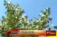 “家庭林场”治荒山变绿洲