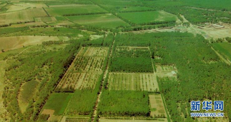 兴隆沼:逆转我国最大沙地的一片绿