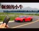倔强的小牛 试驾兰博基尼Gallardo LP 570-4 Super Trofeo Stradale