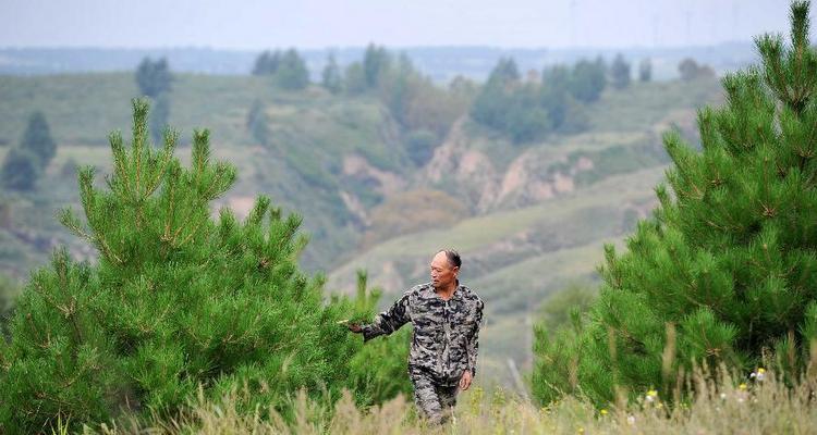 &ldquo;植树达人&rdquo;李云生的人树不了情