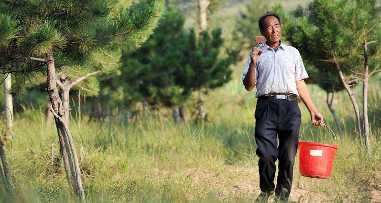 &ldquo;地变绿 风变清 人变富&rdquo;&mdash;&mdash;山西右玉造林人的期盼