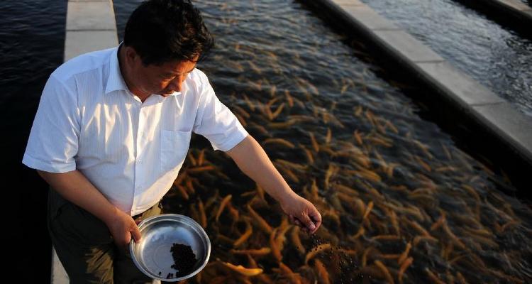 &ldquo;沙漠渔夫&rdquo;何延忠的绿色梦