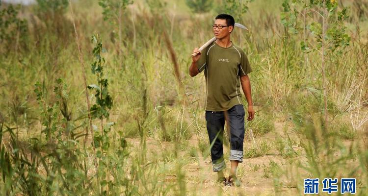 逐绿的人生不寂寞