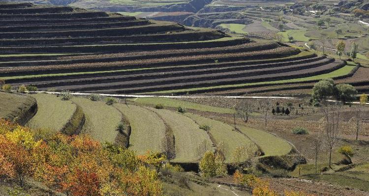 &ldquo;人进沙退&rdquo;完美逆袭&ldquo;沙逼人退&rdquo;