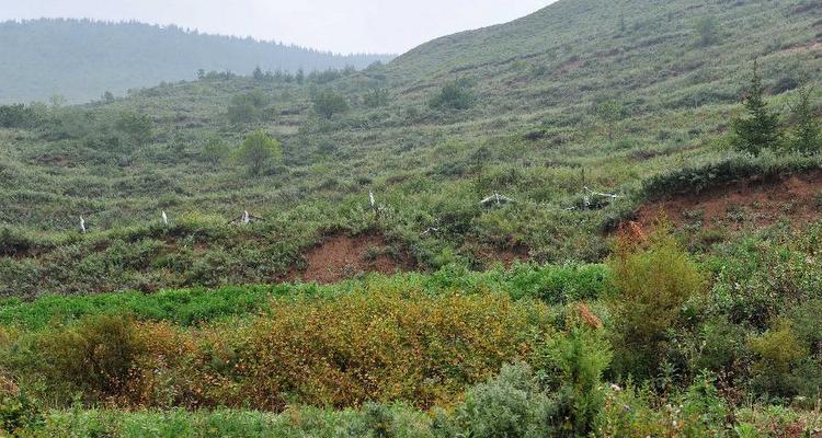 野生动物与民&ldquo;争&rdquo;利 应保护谁的权益？