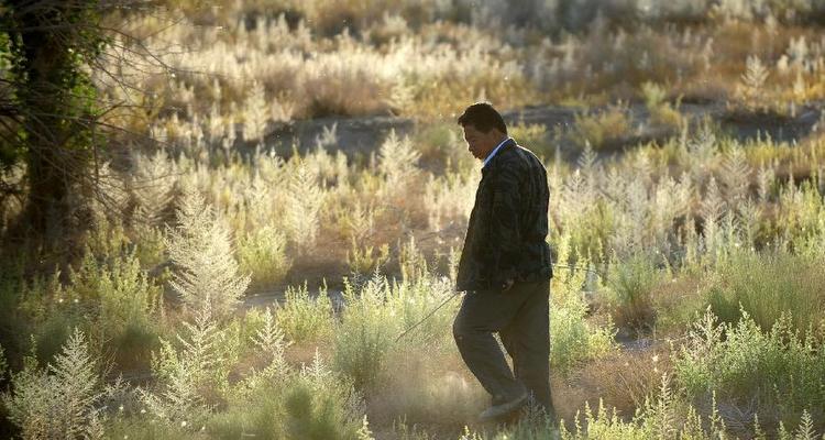 养鱼大王何延忠的战沙故事