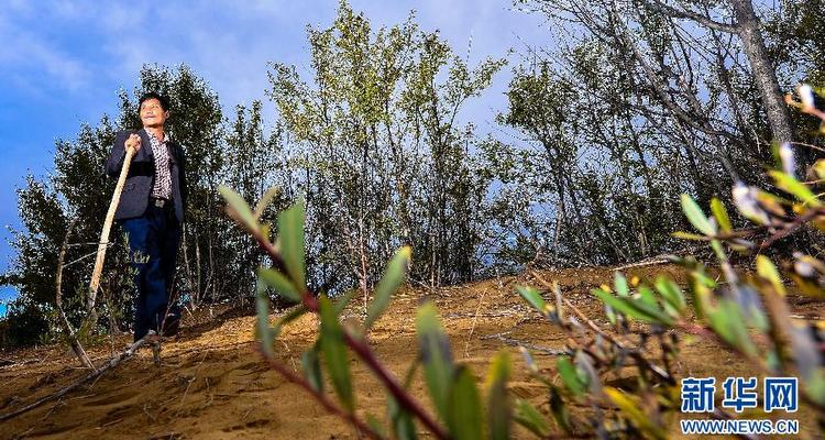 守护三江源绿色屏障的护林员吉本加
