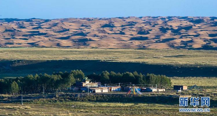 沙珠玉：守住这片绿洲仍需代代接力