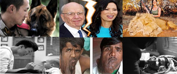 老兵警犬兄弟情&middot;律师称精液被盗&middot;切肿瘤觅真爱&middot;美女猎狮遭拍砖&middot;邓文迪正式离婚&middot;农妇开胸取鱼刺