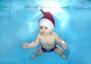 圣诞宝宝的悠然水下世界【图】