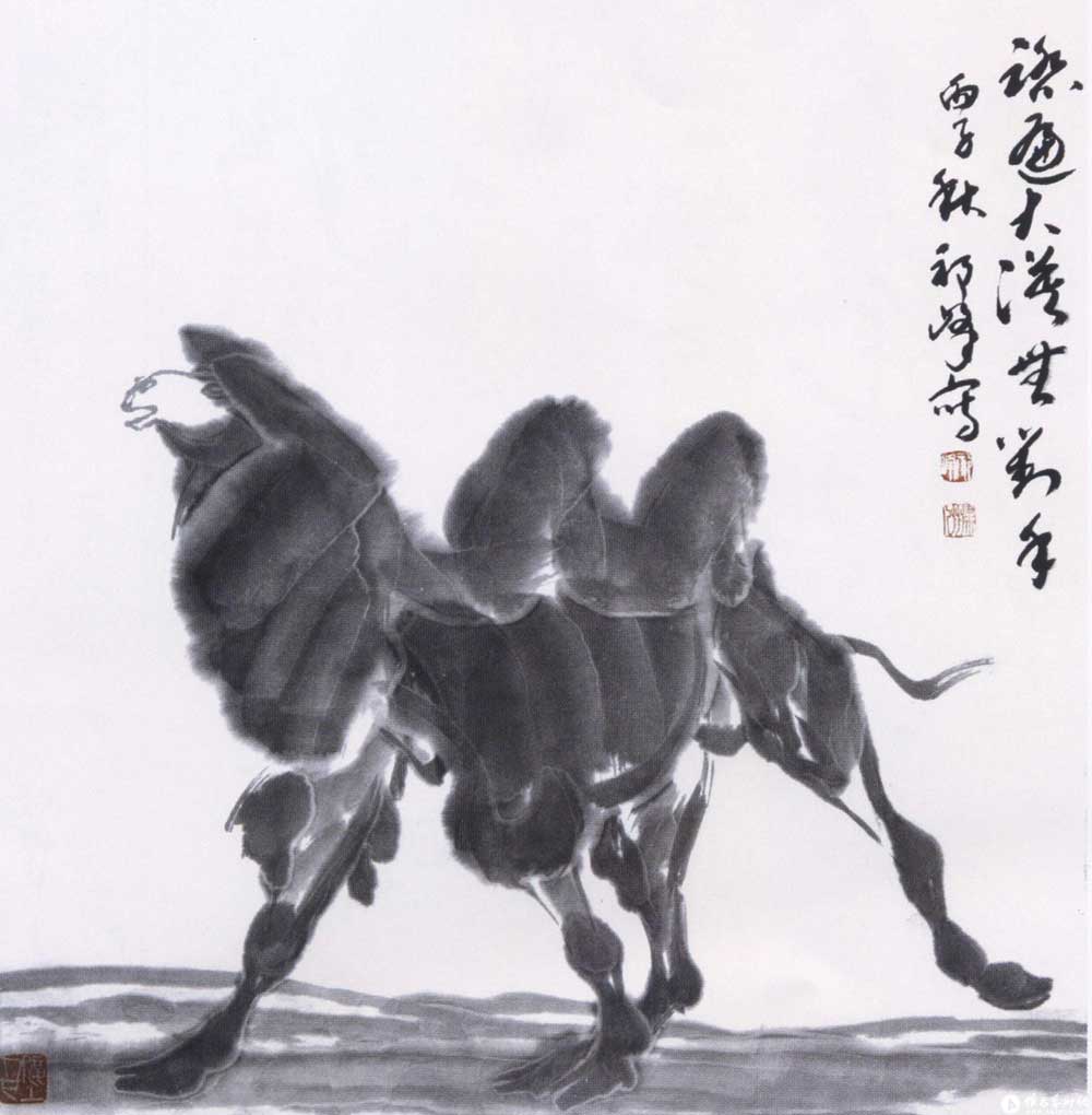 踏遍大漠无对手