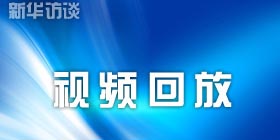 视频回放
