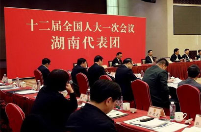 湖南代表团全体会议审议两高工作报告