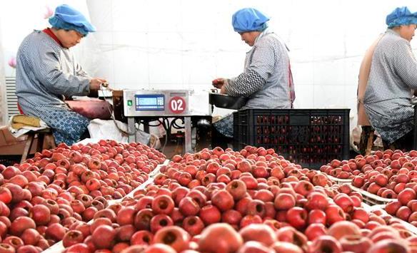 山東沂源：&ldquo;崗位扶貧&rdquo;助增收