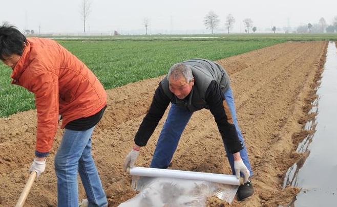 陜西渭南春耕忙