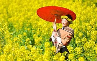 江西婺源迎來踏青潮