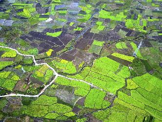 空中看春耕