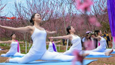 湖南醴陵千畝桃林上演桃花瑜伽秀