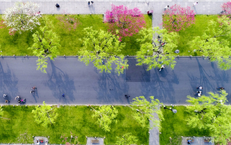 杭州：最美白堤 桃紅柳綠