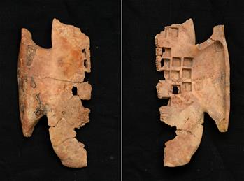 秦鹹陽城遺址發現罕見戰國晚期卜甲