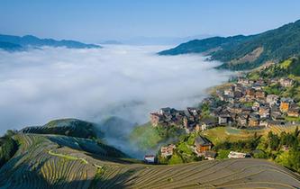 廣西龍勝：梯田雲霧美如畫