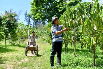 海南萬寧：咖啡産業助推經濟發展