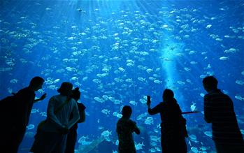 海南打造國際旅遊消費中心