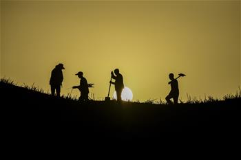 築路&ldquo;沙海&rdquo;中