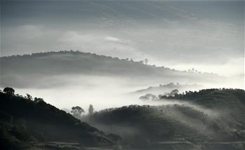 最美旱作梯田 雲海宛如仙境