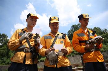 伏天裏的90後調車工