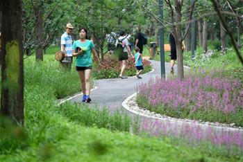 北京东城区第一处城市森林公园建成开放