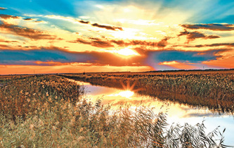 濕地霞光穿雲來