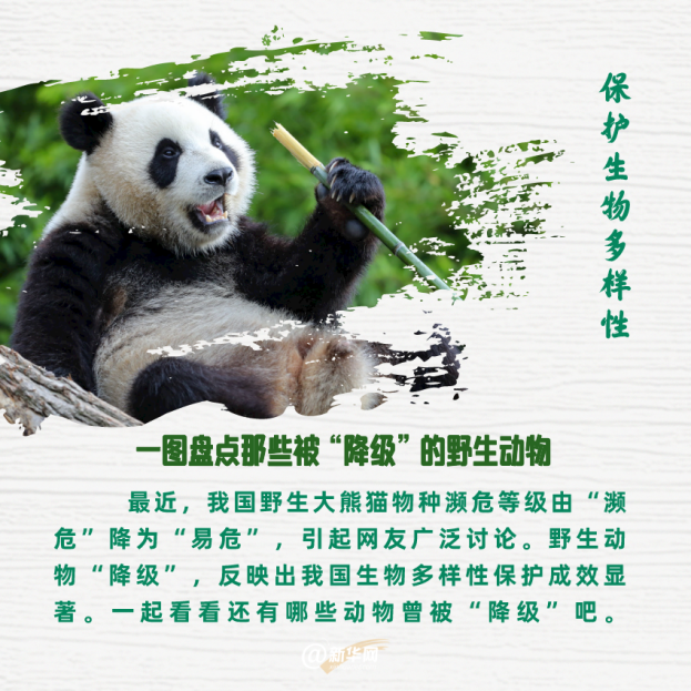 保护生物多样性 一图盘点那些被&ldquo;降级&rdquo;的野生动物