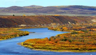 Autumn scenery in Argun River