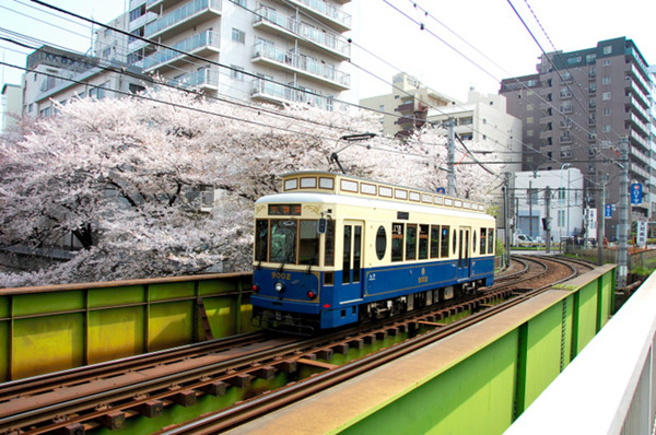 东京推出樱花号列车 贯穿几大赏樱胜地