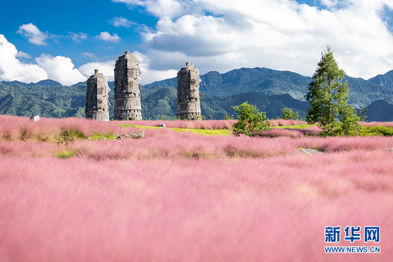 国庆假期 重庆酉阳叠石花谷邀你共赴一场花海之约