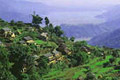 尼泊尔博卡拉