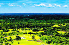 去海口与温泉私约