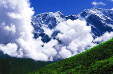 去林芝邂逅“隐秘莲花”